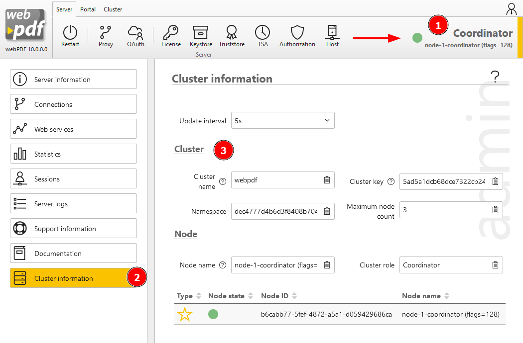 Cluster information after first start