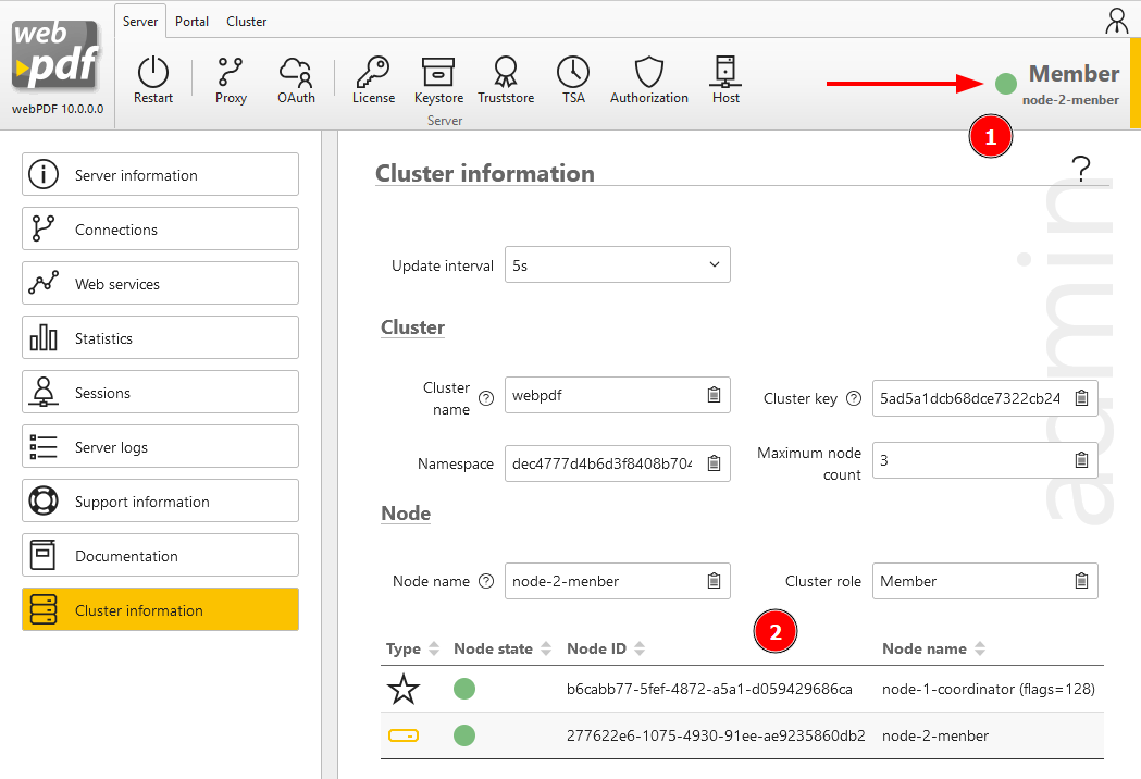 Cluster member status